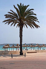 Klicken um großes Foto zu sehen