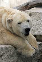 Klicken um großes Foto zu sehen