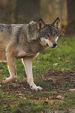 Klicken um großes Foto zu sehen