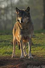 Klicken um großes Foto zu sehen