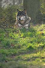 Klicken um großes Foto zu sehen