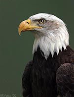 Klicken um großes Foto zu sehen