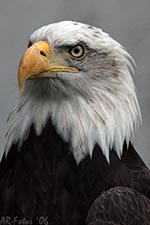 Klicken um großes Foto zu sehen